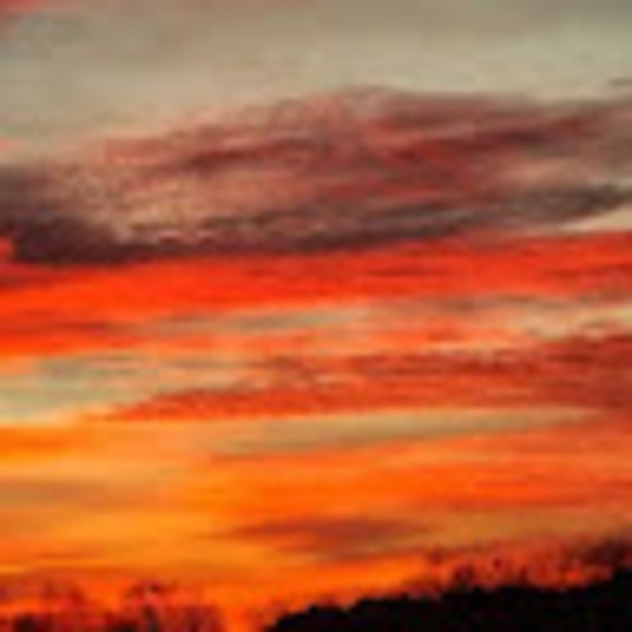 Meet your Posher, Lilswann2002 - Picture 1 of 1